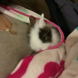 Meet your Posher, Evelyn